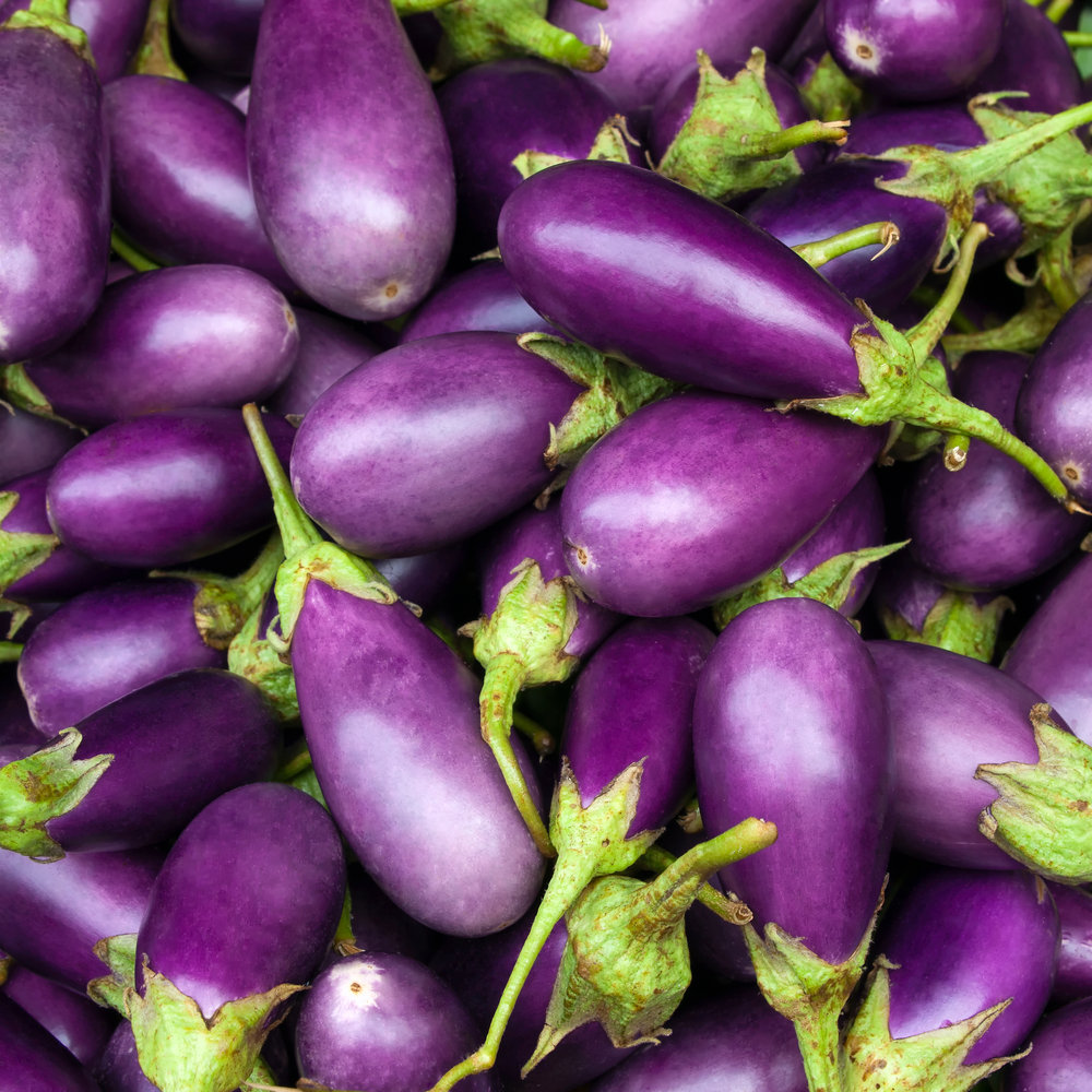 Albums 91 Images Is There A Male And Female Eggplant Updated 10 2023