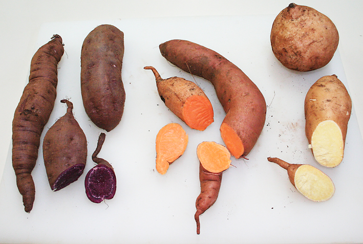 Sweet Potatoes are one of natures Super foods – Wickedfood