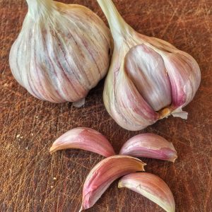 Garlic Seed - Wickedfood Earth Egyptian Pink
