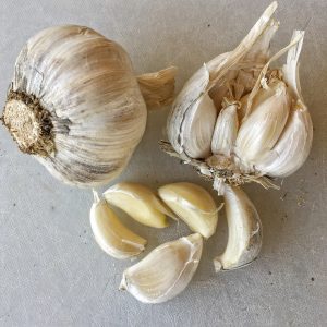 Garlic Seed - Wickedfood Earth White